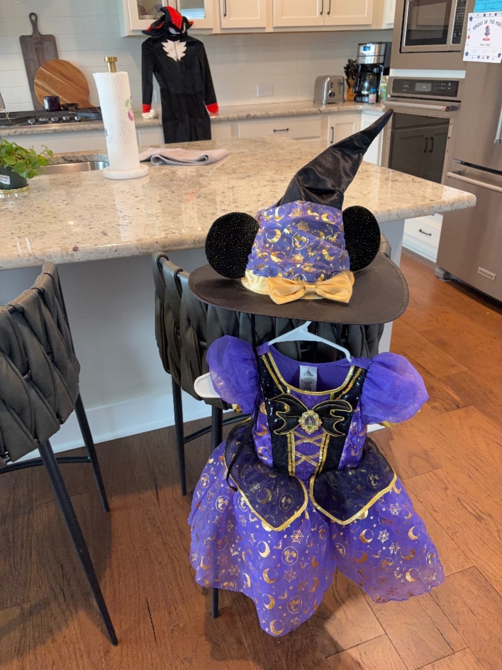 Disney Store Minnie Mouse Costume